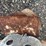 #1913-•-lot-of-(7)-hand-tools-image-5