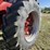 international-766-image-6