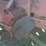 bush-hog-2615l-image-15