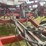 wil-rich-quad-5-image-12