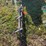 #5072-•-(2)-tree-stand-steps-image-3