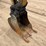 caterpillar-303-image-19