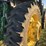 john-deere-6175r-image-40