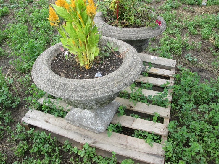 #5056-•-(2)-concrete-urns-image-3