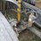 2006-freightliner-columbia-120-image-22