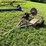 #5025-•-buzz-saw-on-cart-image-1