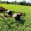 #5026-•-trailer-frame-image-5