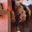 #141a-•-morbark-debarker*-image-20