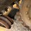 2019-caterpillar-289d3-image-11