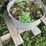 #5054-•-assorted-planters-image-5