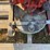 #5073-•-mccormick-hit-and-miss-engine-image-5