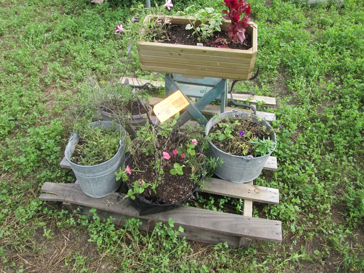 #5054-•-assorted-planters-image-1