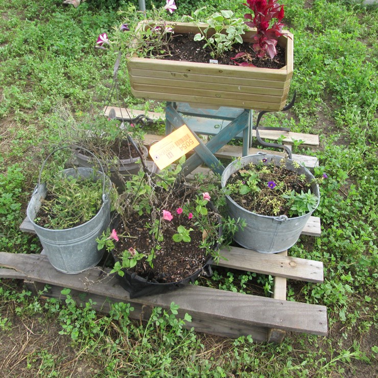 #5054 • Assorted Planters