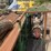 #122-•-crd-metalworks-firewood-processor-image-39
