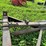 #5018-•-running-gear-for-parts-image-8