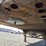 2000-great-dane-53-image-10