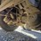 2006-serco-7500-image-55