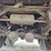 1995-great-dane-trailer-image-14