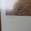 #104-•-#4236-•-framed-ruger-"the-survivors"-signed-lithograph-by-larry-wolfe-524/950-image-3