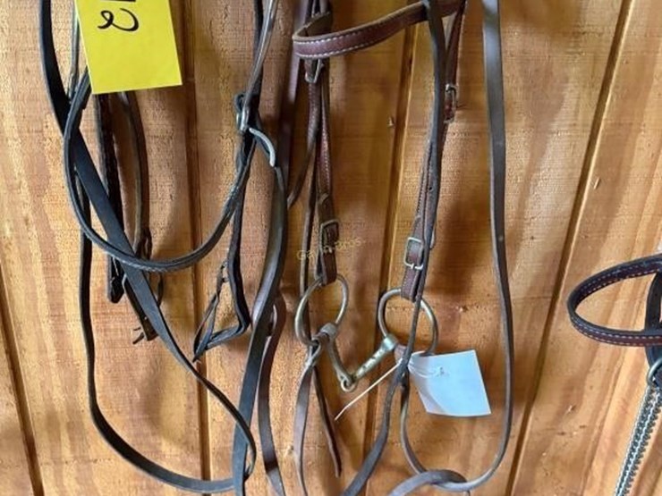 (2)-western-bridles-image-3
