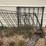 metal-stair-rails-image-2