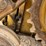 caterpillar-d5n-xl-image-14