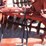 #2049-•-disc-image-14
