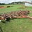 #5037-•-international-field-cultivator-image-2