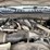 2019-ford-f550-xl-image-17