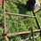 #5026-•-trailer-frame-image-14