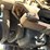 1996-cummins-m11-image-60