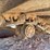 volvo-ec240cl-image-15