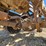 2005-ford-f450-image-44