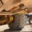 caterpillar-d25c-image-16