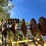 #1671-•-john-deere-23'-disc-image-16
