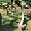 john-deere-722-image-7