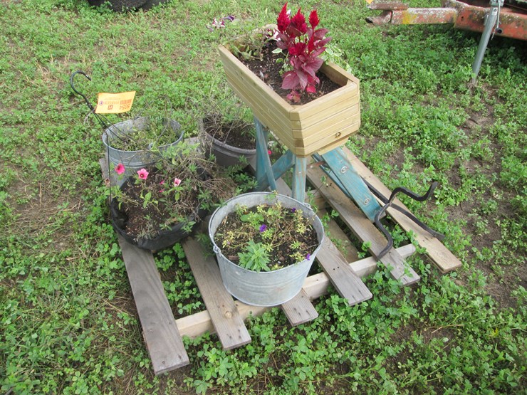 #5054-•-assorted-planters-image-2