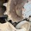 2019-takeuchi-tl8-image-10