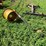 #5019-•-(8)-bolt-rim-and-pto-shaft-image-3