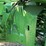 john-deere-8450-image-41