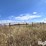 free-standing-pipe-corral-image-8