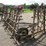 #5031-•-(4)-section-spring-tooth-drag-on-cart-image-3