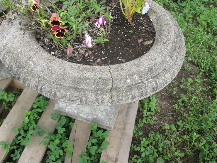 #5056-•-(2)-concrete-urns-image-4