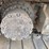 deere-245g-lc-image-14