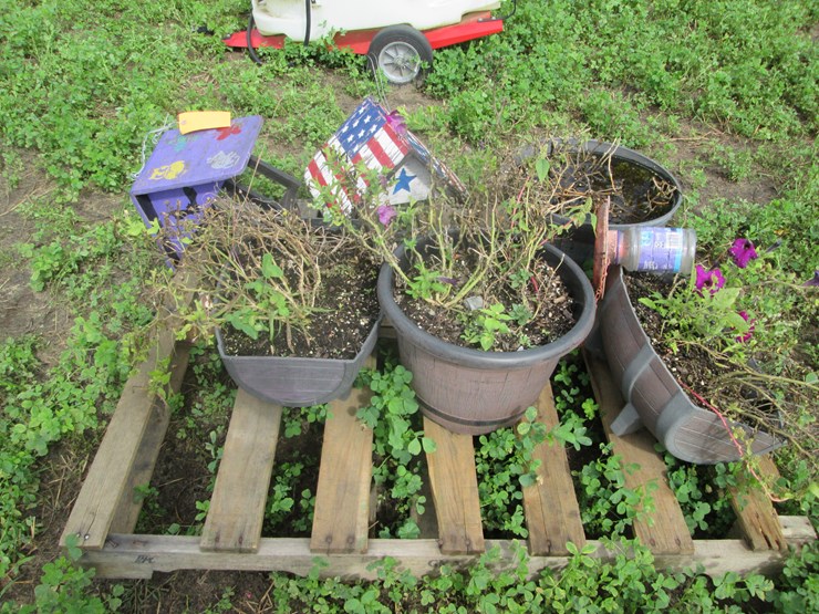 #5055-•-(4)-planters-and-(2)-bird-feeders-image-2