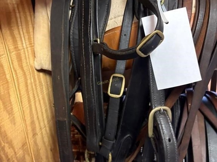 amish-style-horse-buggy-harness-image-5