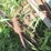 #5035-•-40'-elevator-for-parts-image-5