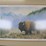 #70-•-#4237-•-framed-ken-hunter-bison-signed-print-for-national-parks-foundation-75th-anniversary-347/2000-image-5