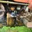 massey-ferguson-65-image-12