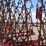 #2056-•-mcfarlane-hd-30-harrow-image-24